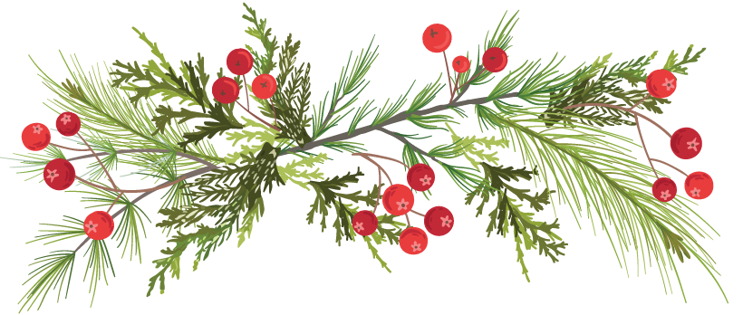 holly divider cropped